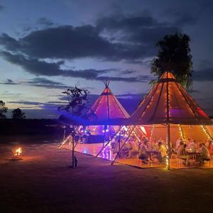 tipitelt vip teltudlejning