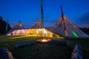 tipitelt vip teltudlejning